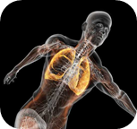 1675930416112424.png image.png