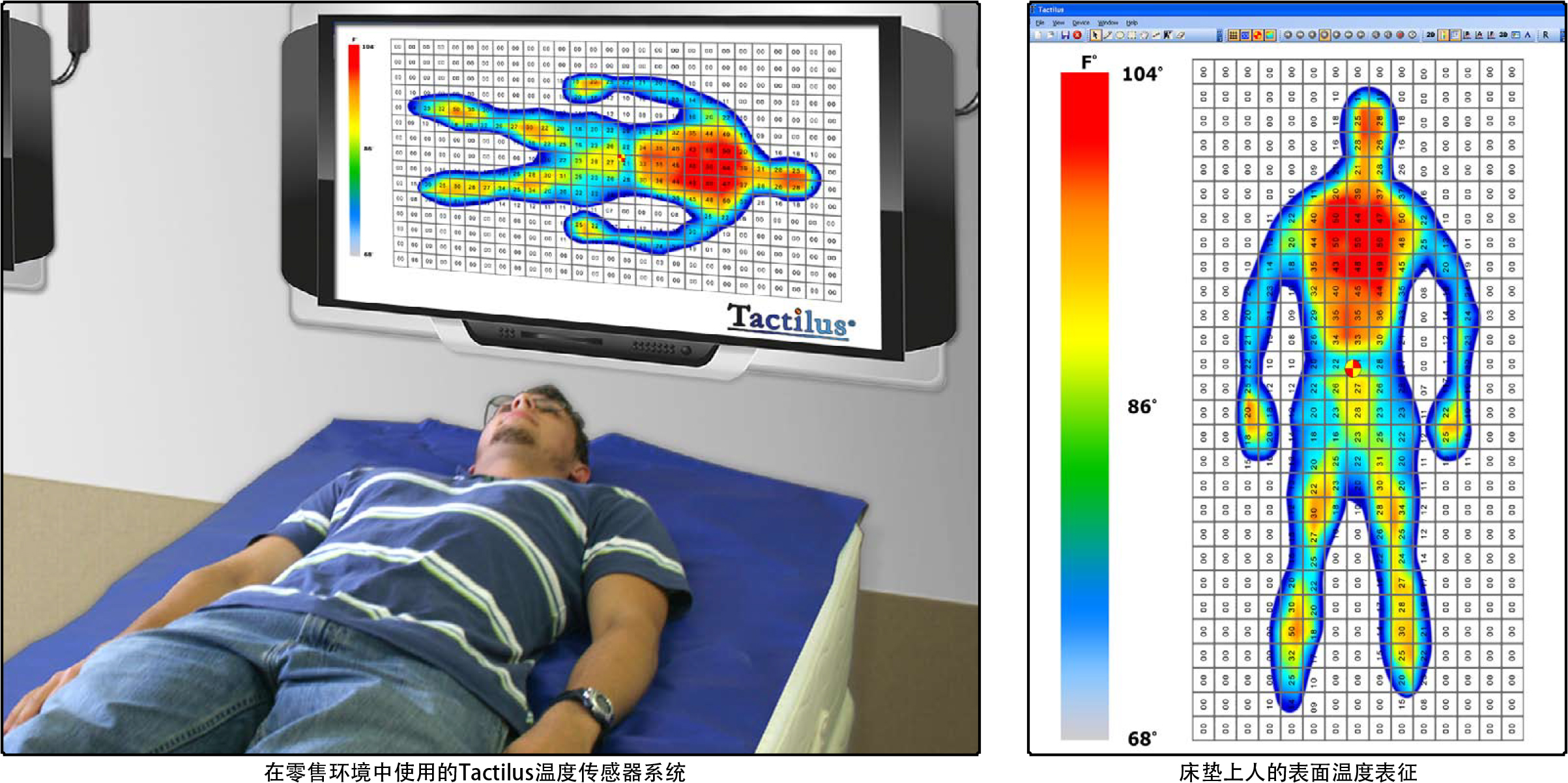 Tactilus温度分布系统