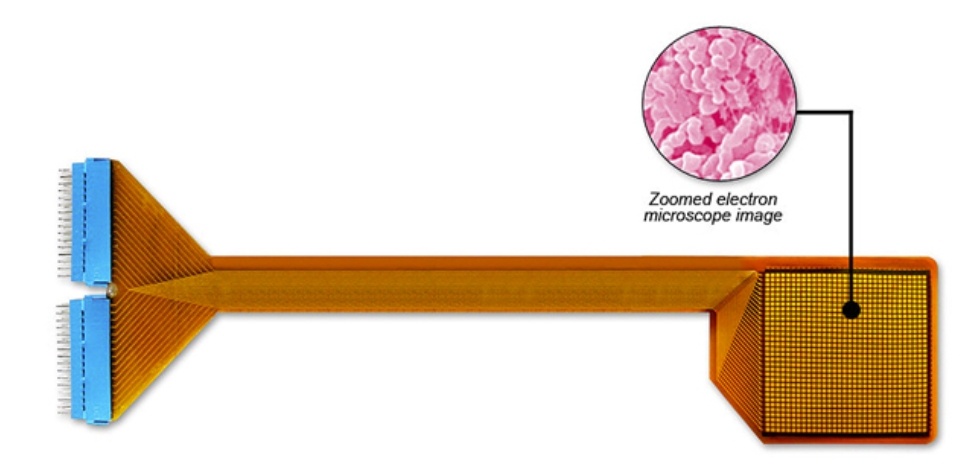 Tactilus® Nano-Polymer Core | H-series Sensor Tactilus® Nano-Polymer Core | H-series Sensor