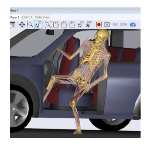 The AnyBody ModelingSystem The AnyBody ModelingSystem