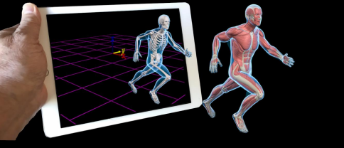 Motion Monitor 生物力学实时采集分析平台