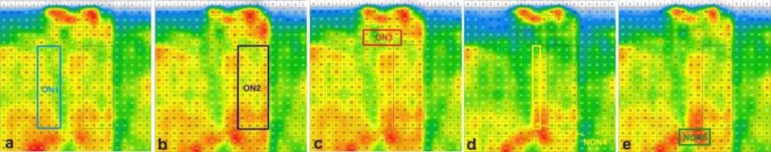 可负载区域（a、b、c）和不可负载区域（d、e）的压力图