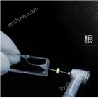 X-SMART Plus根管预备设备