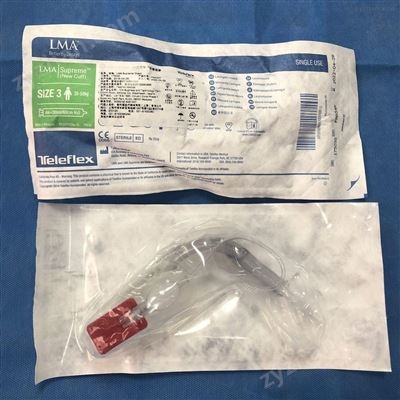 175030, 175040, 175050一次性使用双管喉罩