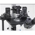 XenoWorks显微注射仪