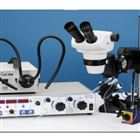 PLI-100A压力显微注射仪