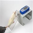 大小鼠抓力测量仪