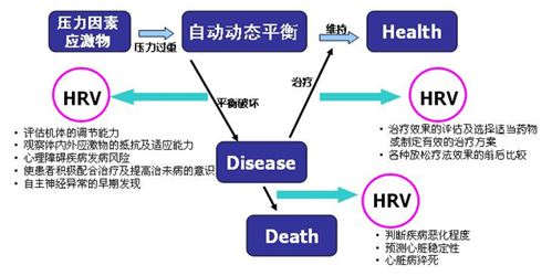 压力 & 自动动态平衡