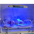 B-100新生儿黄疸治疗仪