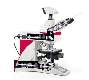 徕卡显微镜 DM6 B