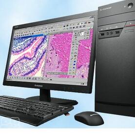 显微图像分析软件 Mifas