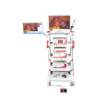 达尔邦DP-HD902高清内窥镜一套