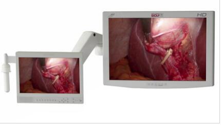 医用内窥镜显示器