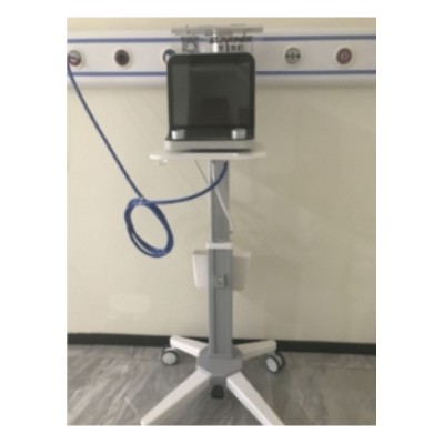 圣王吸入笑气镇痛装置A8