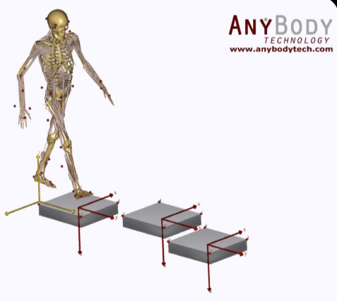 AnyBody人体建模仿真软件介绍