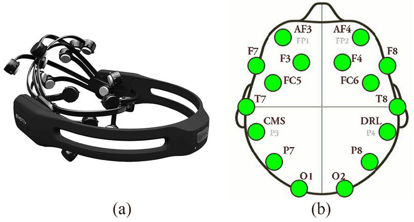 头皮电极的 EMOTIV EPOC+ 空间映射