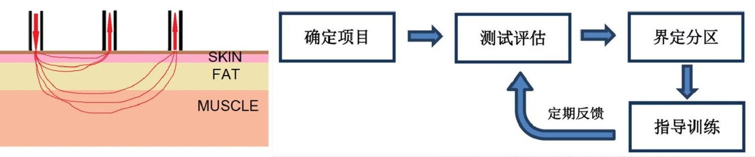 近红外光肌氧监测系统技术原理