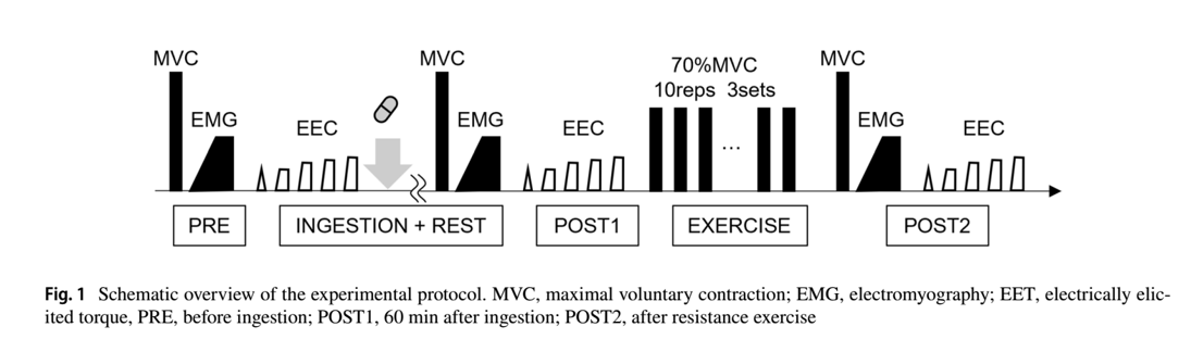 Acute effects of caffeine or quercetin ingestion on motor unit firing pattern before and after resistance exercise Acute effects of caffeine or quercetin ingestion on motor unit firing pattern before and after resistance exercise
