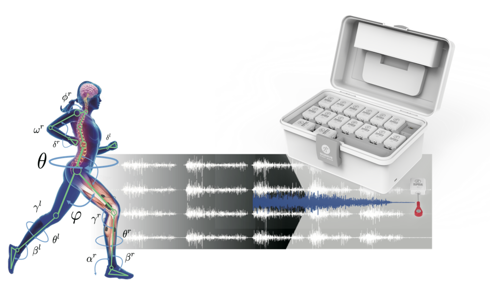 无线表面肌电测试系统