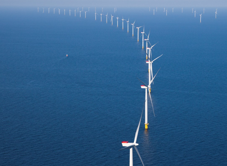 应用案例：NORBLIS参与中红外光学相干断层扫描 (OCT) 项目 - TURBO 和 ZDZW